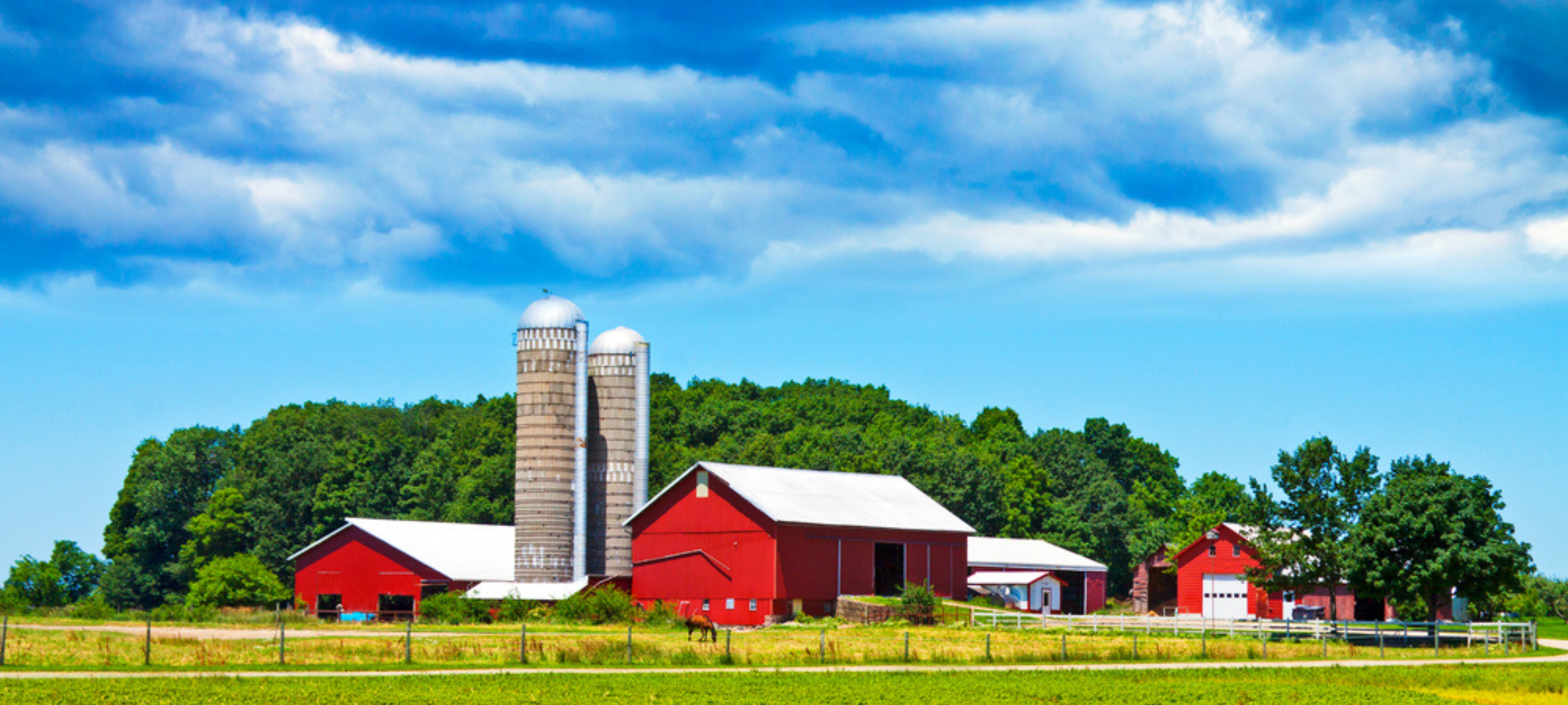 Farm Banner Winter